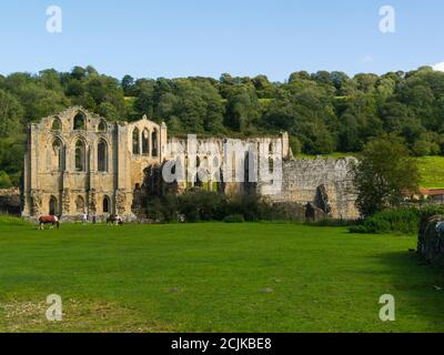 Rovine dell'abbazia di Rievaulx ex Cistercense Abbey North Riding of Yorkshire Inghilterra UK English Heritage Historic Property uno dei grandi cistercensi Monasteri Foto Stock