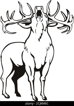 Stencil illustrazione di UN cervo rosso Cervus elaphus, una delle più grandi specie di cervo, arrostito visto dal fronte su sfondo isolato fatto in nero e. Illustrazione Vettoriale