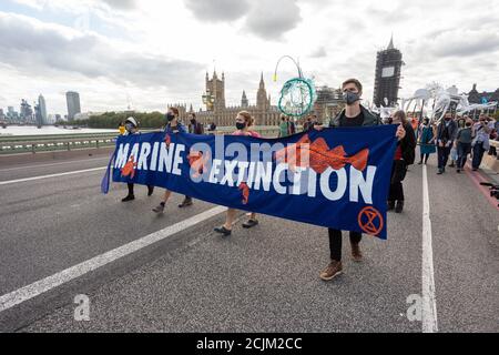 Manifestanti che portano la bandiera attraverso il ponte di Westminster durante la 'Marine Extinction March', Extinction Rebellion dimostration, Londra, 6 settembre 2020 Foto Stock