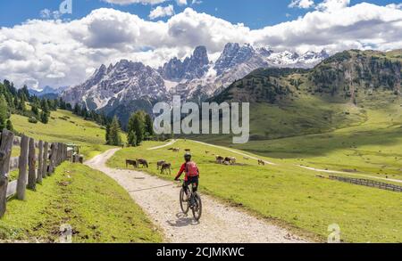 Bella e attiva donna anziana che cavalca la sua mountain bike elettrica sull'altopiano di Prato Piazzo nelle tre cime dolomitiche , silhouette rocciosa di Foto Stock