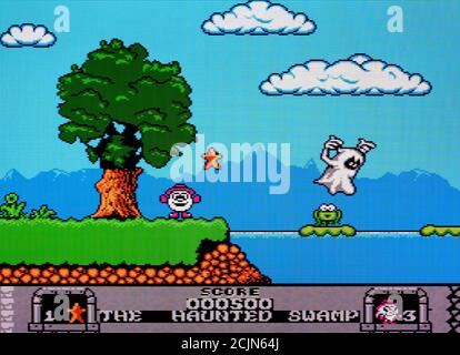 Wonderland Dizzy - Nintendo Entertainment System - NES Videogame - Solo per uso editoriale Foto Stock