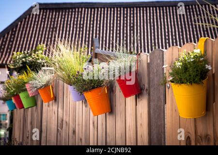 Recinzione in legno con vasi colorati con fiori ed erbe a Bad Honnef-Rhoendorf sul Reno, Nord Reno-Westfalia, Germania. Holzzaun mit Bunten Toe Foto Stock