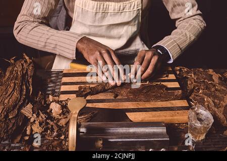 Processo di fabbricazione di sigari tradizionali da foglie di tabacco con le mani utilizzando un dispositivo meccanico e la pressa. Foglie di tabacco per fare sigari. Primo piano Foto Stock