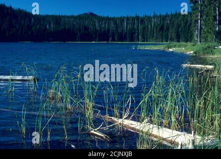 Maidu Lake, Mt Thielsen Wilderness, Umpqua National Forest, Oregon Foto Stock