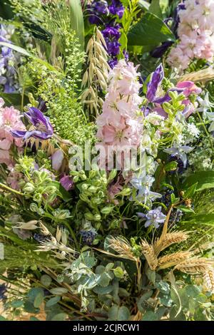 Tagliare fiori e erbe in spray, primo piano Foto Stock