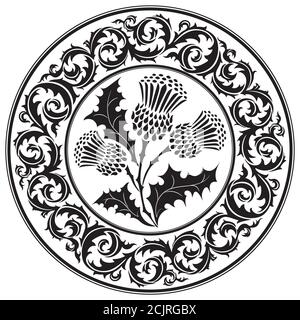 Thistle fiore e ornamento tondino foglia. Il simbolo della Scozia Illustrazione Vettoriale