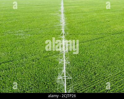 Vista dall'alto di un campo con mais che viene innaffiato utilizzando un sistema di irrigazione automatico. Foto Stock