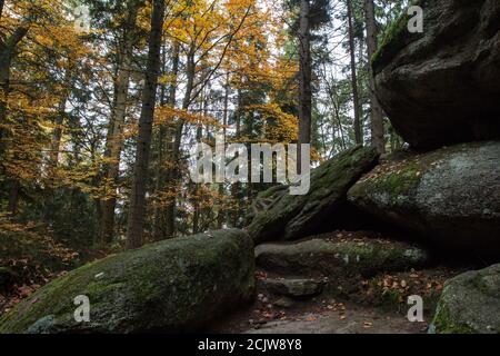 Closeup di alberi e rocce nel labirinto di Luisenburg Rock a Wunsiedel, Germania Foto Stock