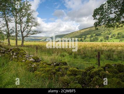 Muro di arenaria e prato di palude in Upper Wharfedale vicino a Buckden in una giornata di sole a Spetember. Foto Stock