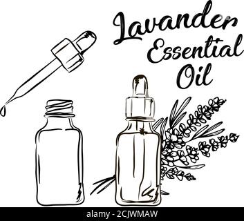 Lavanda bottiglia di olio essenziale e mazzo di fiori disegnati a mano illustrazione vettoriale. Disegno isolato per il trattamento di Aromatherapy, medicina alternativa, Illustrazione Vettoriale