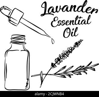 Lavanda bottiglia di olio essenziale e mazzo di fiori disegnati a mano illustrazione vettoriale. Disegno isolato per il trattamento di Aromatherapy, medicina alternativa, Illustrazione Vettoriale