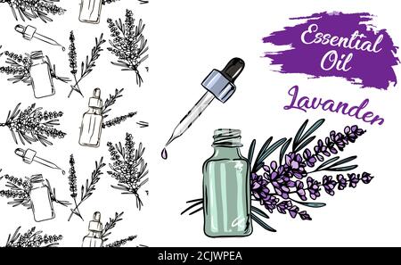 Lavanda bottiglia di olio essenziale e mazzo di fiori disegnati a mano illustrazione vettoriale. Disegno isolato per il trattamento di Aromatherapy, medicina alternativa, Illustrazione Vettoriale