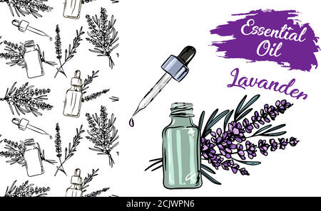 Lavanda bottiglia di olio essenziale e mazzo di fiori disegnati a mano illustrazione vettoriale. Disegno isolato per il trattamento di Aromatherapy, medicina alternativa, Illustrazione Vettoriale
