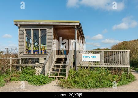 Nuova pelle di uccelli al RSPB Pagham Harbour riserva naturale locale, West Sussex, Regno Unito. Il traghetto Nascondi. Foto Stock