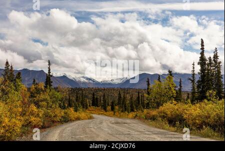 Una strada conduce attraverso i colori autunnali della taiga nella valle di Matanuska, nell'Alaska centro-meridionale. Foto Stock