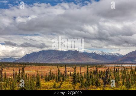 Colori autunnali della taiga nella valle di Matanuska nell'Alaska centro-meridionale. Foto Stock