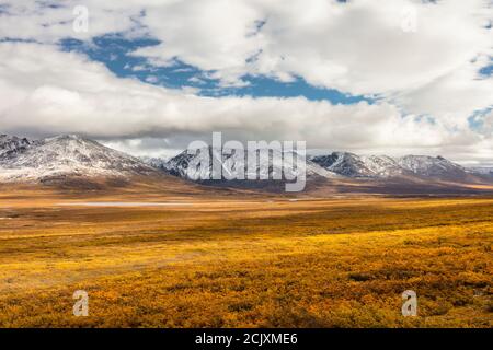 I colori autunnali ricoprono l'ampia valle vicino alle Anfiteatro Mountains nell'Alaska centro-meridionale. Foto Stock