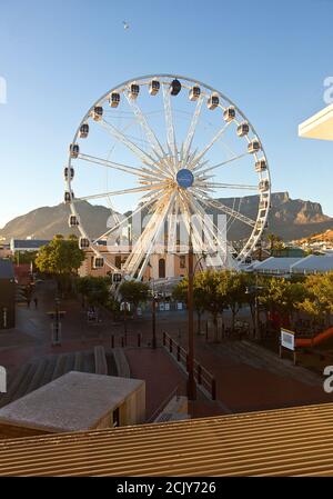 Cape Wheel al Victoria & Alfred Waterfront, Città del Capo, Sud Africa Foto Stock