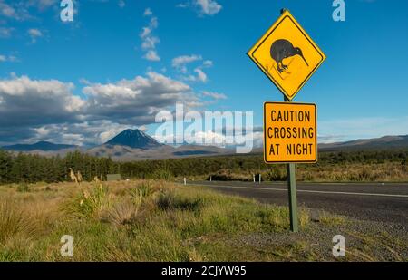 Kiwi crossing road sign with Mt Ngauruhoe (aka Mt Doom) towering in the distance. Stock Photo