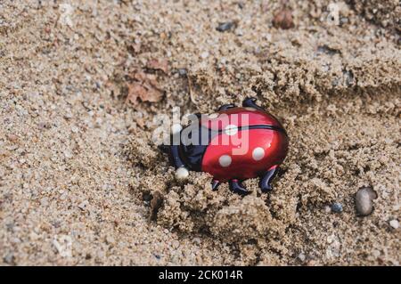 Colpo di testa di un ladybird giocattolo di plastica rosso che si posa sabbia Foto Stock