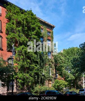 NEW YORK, NY - 7 SETTEMBRE 2020: Casa in mattoni nel Villaggio Est di Manhattan coperta da viti di glicine. Foto Stock