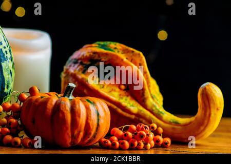 Due zucche a fuoco selettivo e una candela circondata da bacche di rowan su rustico tavolo di legno, sfondo nero con un po' di bokeh giallo Foto Stock