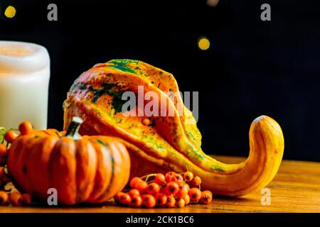 Due zucche a fuoco selettivo e una candela circondata da bacche di rowan su rustico tavolo di legno, sfondo nero con un po' di bokeh giallo Foto Stock