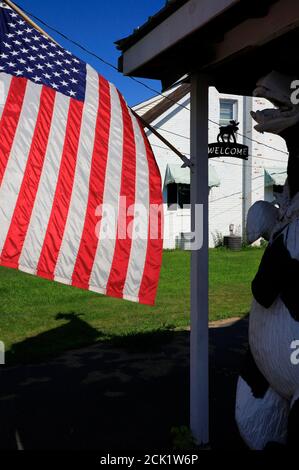 Cartello di benvenuto con bandiere statunitensi e sculture di animali decorate Big Moose Deli & Country Store.Hoosick.New York.USA Foto Stock