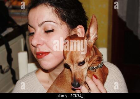 affettuoso piccolo cucciolo di pinscher marrone domestico Foto Stock