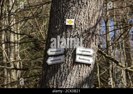 Primo piano di quattro cartelli con frecce sull'albero Foto Stock