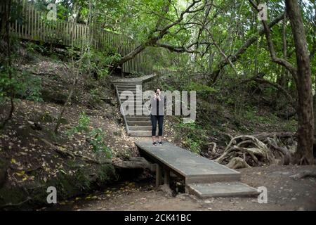 Parco regionale di Shakeaspera e riserva naturale sulla penisola di Whangaaoa nord Di Auckland Nuova Zelanda Neville Marriner Leica M10 Foto Stock