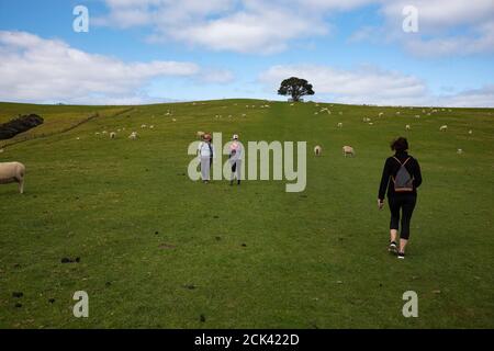 Parco regionale di Shakeaspera e riserva naturale sulla penisola di Whangaaoa nord Di Auckland Nuova Zelanda Neville Marriner Leica M10 Foto Stock