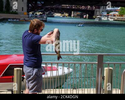 Uomo che pesava canale pesce gatto che ha catturato, il pesce pesava più di cinque libbre/2,3kg. Chicago Riverwalk. Il pesce gatto del canale può crescere fino a 23 kg. Foto Stock