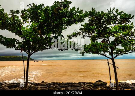 l'orizzonte del mare con l'albero in primo piano al mattino viene ripreso a gokarna karnataka india. Foto Stock