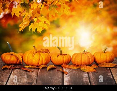 Una fila di mini zucche e foglie di autunno su tavola in legno rustico. Bella autunno acero lascia lo sfondo con il golden bokeh, copia dello spazio. Foto Stock