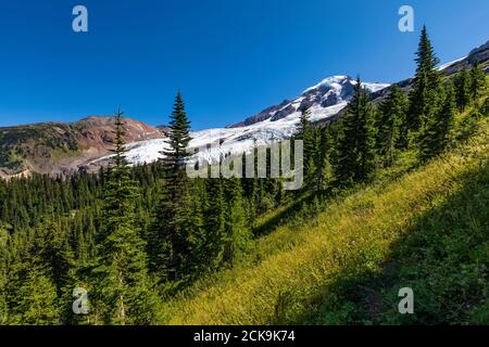 Paesaggio subalpino lungo il sentiero per scalatori che conduce verso la Ridge Heliotrope con il Monte Baker in lontananza, Monte Baker-Snoqualmie National Forest, Wa Foto Stock