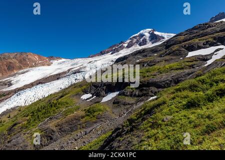 Prati alpini e ghiacciai visti dal sentiero degli arrampicatori che conduce verso la Ridge dell'Eliotropo, con il Monte Baker distante, il Monte Baker-Snoqualmie National Foto Stock