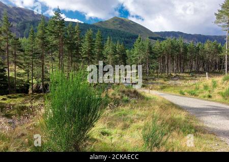 Il percorso per la Corrie Fee, Glen Clova, vicino a Kirriemuir, Angus, Scozia Foto Stock