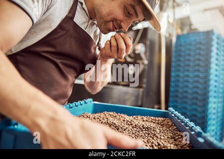 Bel lavoratore maschile che odora chicchi di caffè tostati Foto Stock