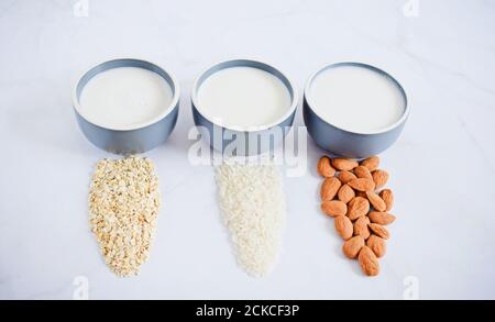 Assortimento di laccette vegane non casearie, vari laccati con ingredienti, vista frontale. Foto Stock