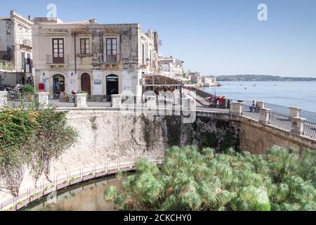 Famosa sorgente Aretusa legata al patrimonio greco della città e alla mitologia greca - Isola d'Ortigia, Siracusa (Sicilia, Italia) Foto Stock