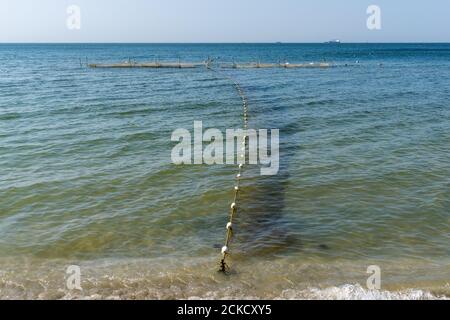 Fattoria Oyster in riva al mare su una calma e soleggiata giorno d'estate Foto Stock