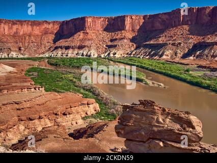 Green River nell'area di Fort Bottom, vista da Fort Bottom Trail, zona di White Rim Road, Island in the Sky, Canyonlands National Park, Utah, USA Foto Stock