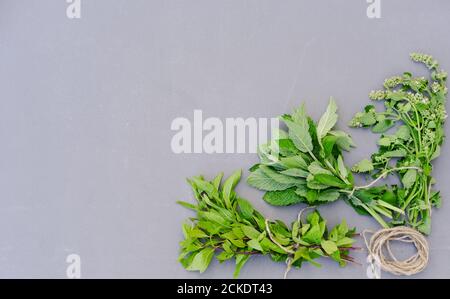 erbe curative per tè alle erbe. menta, melissa, ingredienti per il tè calmante e rilassante. tè notturno. bevande naturali. erbe pronte per l'asciugatura su sfondo grigio. vista dall'alto. copia spazio per il testo. Foto Stock