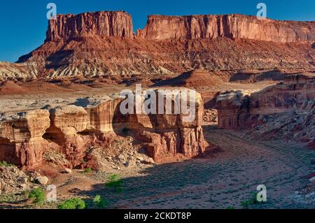 Steer Mesa visto dalla zona di White Rim Road vicino a Candlestick Camp, Island in the Sky, Canyonlands National Park, Utah, USA Foto Stock