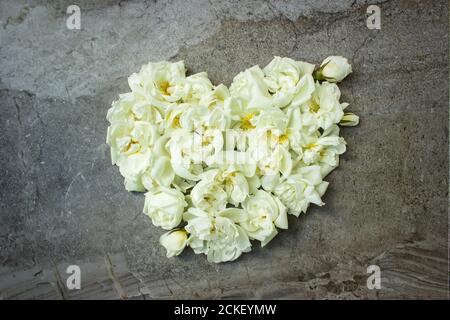 Foto d'azione con stile. Mockup di prodotti digitali femminili con fiori di rosa a forma di cuore su sfondo grigio scuro. Disposizione piatta, vista dall'alto. Immagine per blog o. Foto Stock