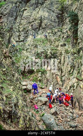 La squadra di soccorso di montagna Langdale/Ambleside è una delle più trafficate del Regno Unito in un salvataggio nel Distretto dei Laghi, Regno Unito. Foto Stock