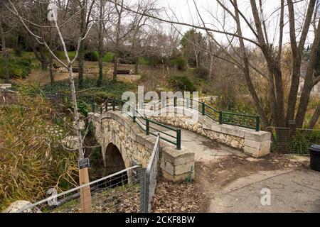 Il Giardino Botanico di Gerusalemme è una gemma nel cuore di Gerusalemme. Serve come centro di istruzione, apprendimento e ricerca, possiede una collectio diversificata Foto Stock