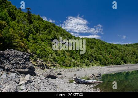 Lago di Conguillio nel Parco Nazionale di Conguillio. Regione di Araucania. Cile. Foto Stock