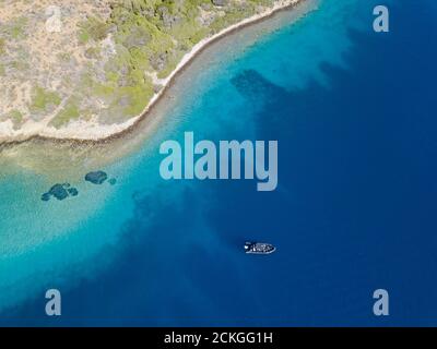 Associazione Mediterranea di conservazione Società di monitoraggio della scienza che attua l'erba di mare, Posidonia oceanica, controllo di salute in Gokova Bay Turchia Foto Stock